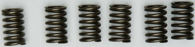 EBC CSK Clutch Spring Kit CSK131