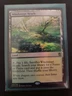MTG Windswept Heath Khans of Tarkir Foil Card LP