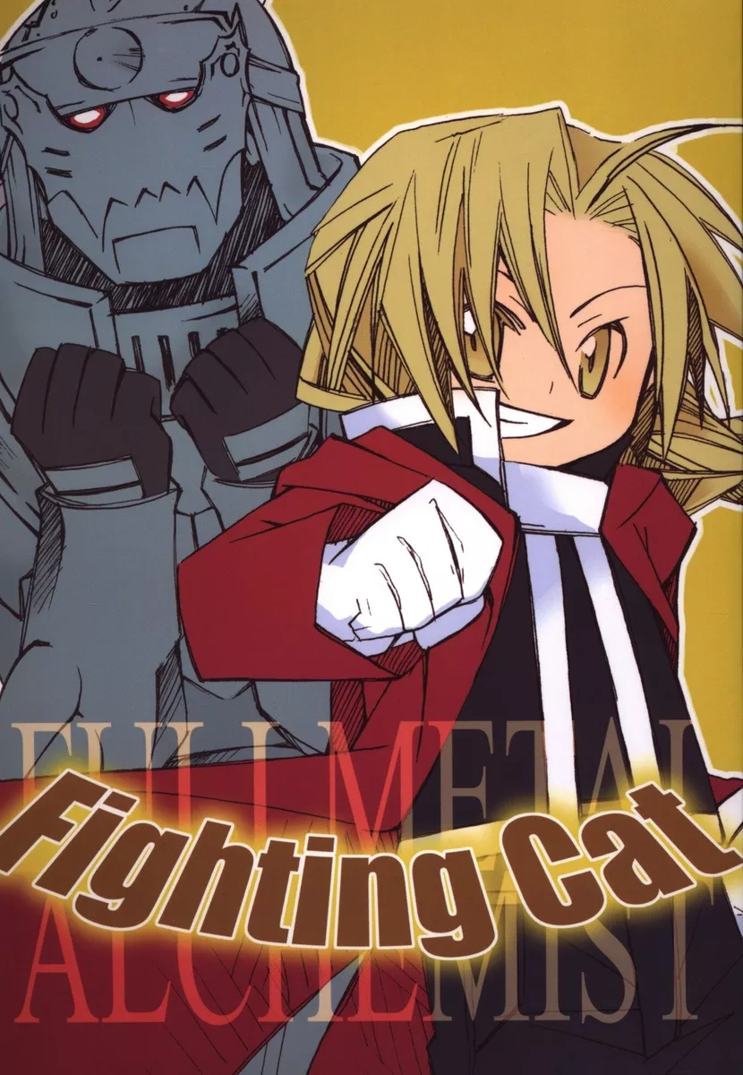 Fullmetal Alchemist In 2 Minutes