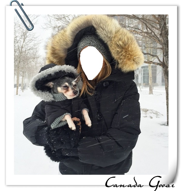 BRAND NEW GREY LABEL CONCEPT EDITION BLACK CANADA GOOSE CHILLIWACK SMALL JACKET image 2