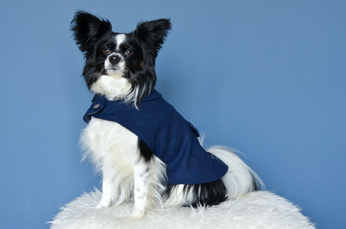 Harris tweed dog jacket cheap