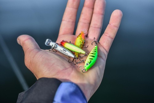 Rapala X-Light Minnow Lures - Pike Perch Chub Zander Trout Salmon Fishing Tackle - Picture 2 of 14
