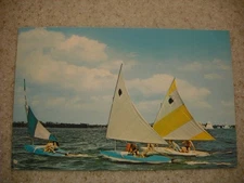 Vintage Mid-Century Sailing Color Postcard