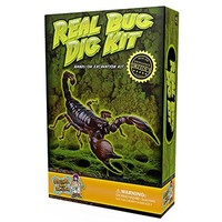 Discover With Dr. Cool Real Insect Excavation Science Kit , New, Free Shipping on sale Discover With Dr. Cool Real Insect Excavation Science Kit , New, Free Shipping on sale