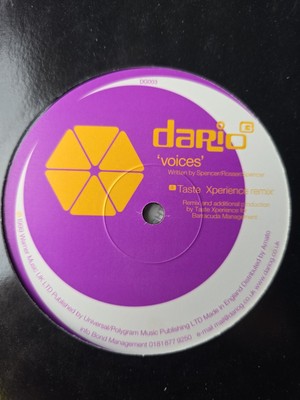 Dario G   Voices 12'' Vinyl Record (UK, 2000, Trance)