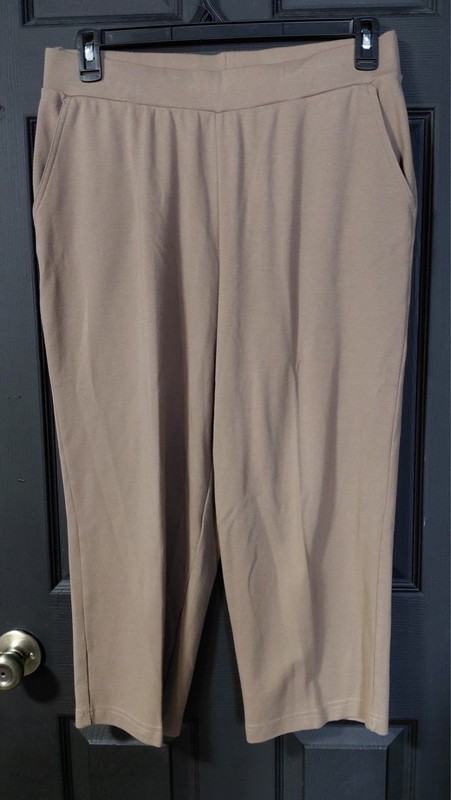 APPLESEED'S womens Cropped Pants Brown Large Elastic Waist