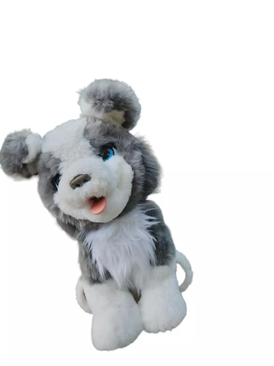 Furreal hot sale puppy ricky