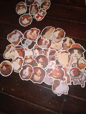 Small Animal Stickers (Guinea pig, Hamster, Capybara) you get more than one