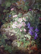 Alpine Flowers by J. Lauer Tile Mural Kitchen Bathroom Wall Backsplash Ceramic