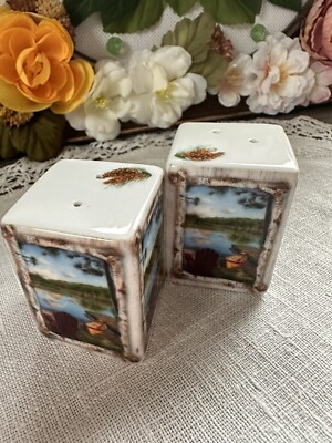 Vtg 1960s EFM brend Set of 2 Lake Scene Porcelain Square Salt & Pepper Shakers