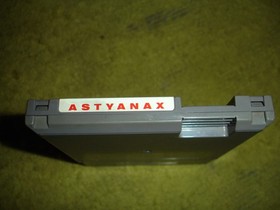 Astyanax ( NES, 1990) With Sleeve in a clear platic case
