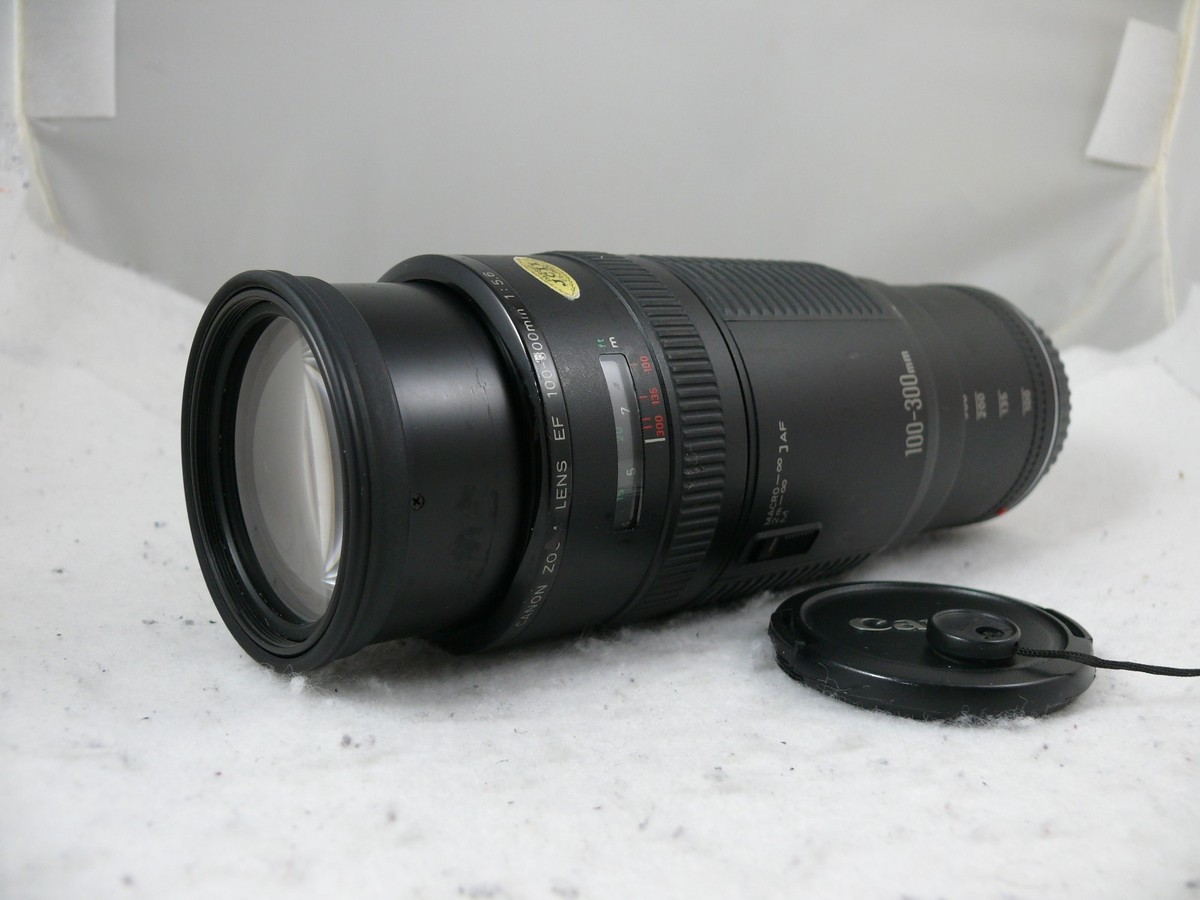 Canon EF 100-300mm 1:5.6 Zoom Camera Lens | eBay