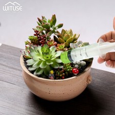 5Pcs Syringe Sampler Injector One-off All Sizes Nutrient For Hydroponics Cubs