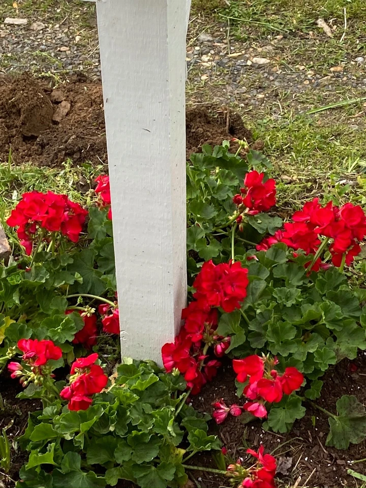 LEGO LADRILLO NEGRO 1x2 con mango - Lote de 12 nuevos y usados Foto 3 de 3