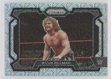 2024 Panini Prizm WWE Mojo Prizm 1/25 Brian Pillman #13 3j7