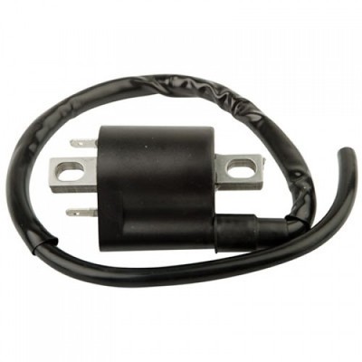 Neutron Ignition Coil JS-1DZ-82310-01-00 for Motorcycle