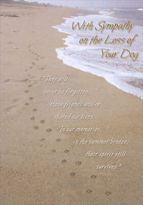 Dog Paw Prints on Sandy Beach Designer Greetings Pet Sympathy Card