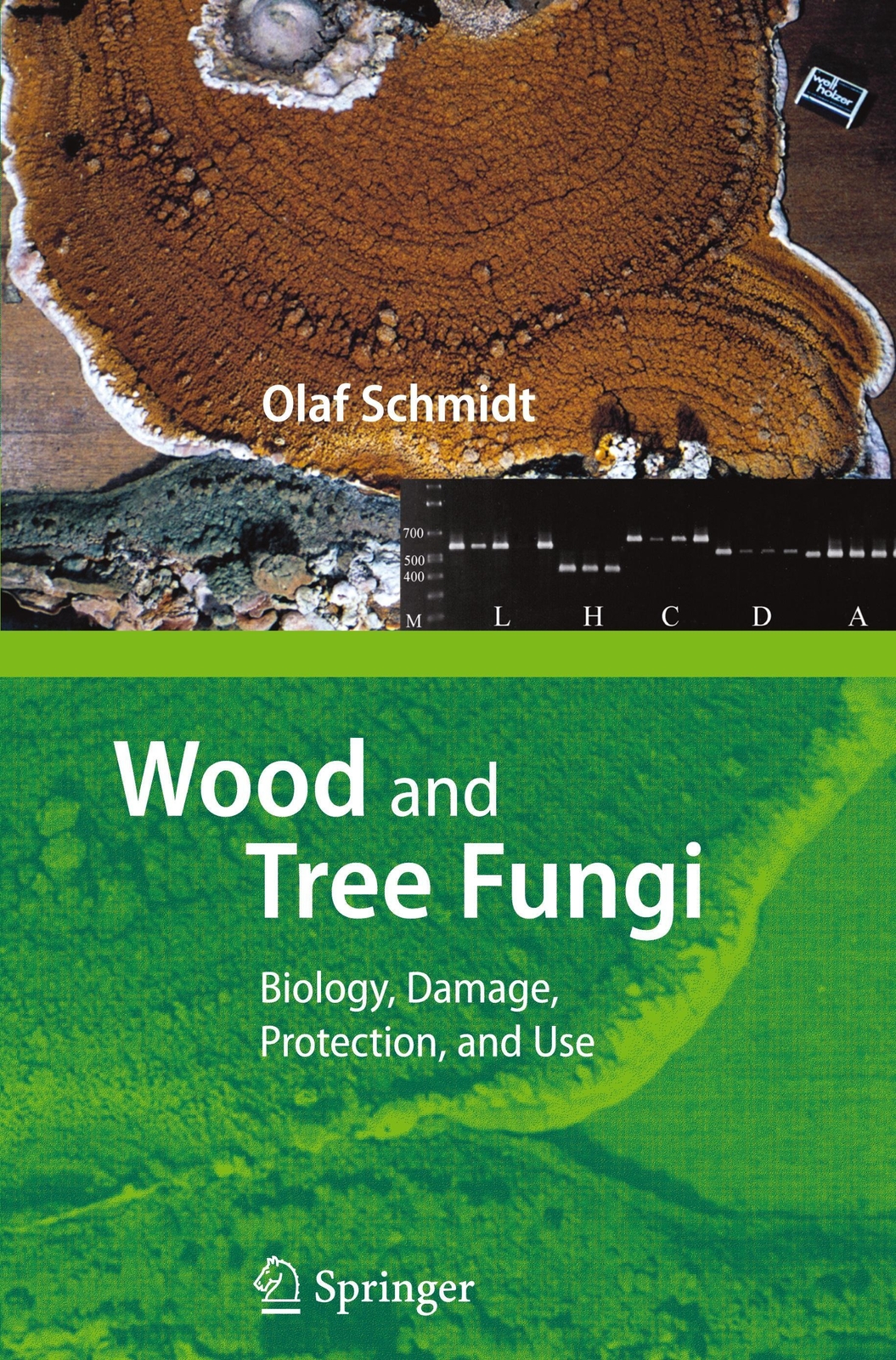 Thumbnail - Wood And Tree Fungi | Olaf Schmidt | Biology, Damage, Protection, And