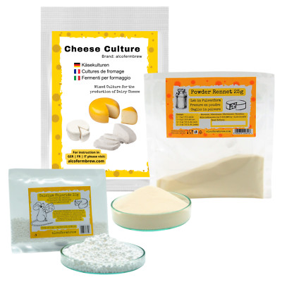 Lab Mikrobielle 25g + Käsekultur 5g + Calciumchlorid 10g - Set Käseherstellung