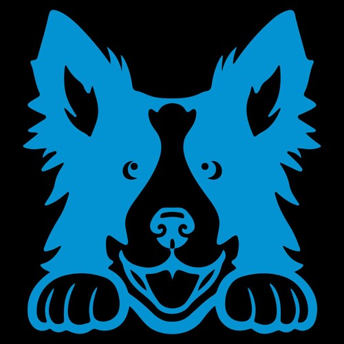 5" PEEKING BORDER COLLIE Vinyl Decal Sticker Car Window Dog Puppy Rescue Pet - Picture 14 of 24