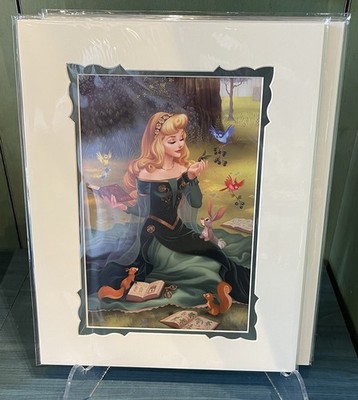 2026 Disney Parks Dylan Bonner Deluxe Print 14x18 I Wonder New