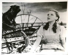 Judy Garland, Ray Bolger, Jack Haley, Bert Lahr THE WIZARD OF OZ PHOTO 9 OF 12 8