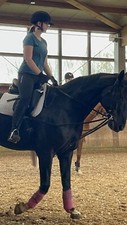 reitbeteiligungen pferde