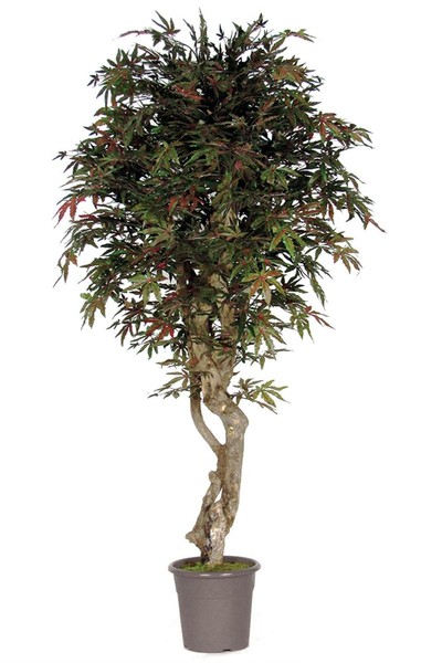 artplants Kunstbaum Japanischer Ahorn Kyrylo, Echtstamm, GrüN-Rot, 200Cm-image