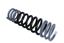 Genuine Maxgear Suspension Spring 60-0496 for Ford
