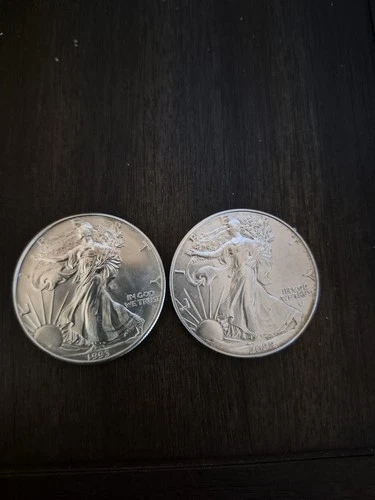 Lot of 2 American Silver Eagle 1oz Fine silver $1 Years 1993,  2022