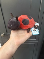 Layla Ladybird Jellycat | Jelly Journal