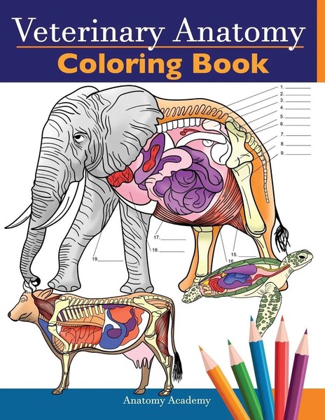 Anatomy Academy | Veterinary Anatomy Coloring Book | Taschenbuch | Englisch-image