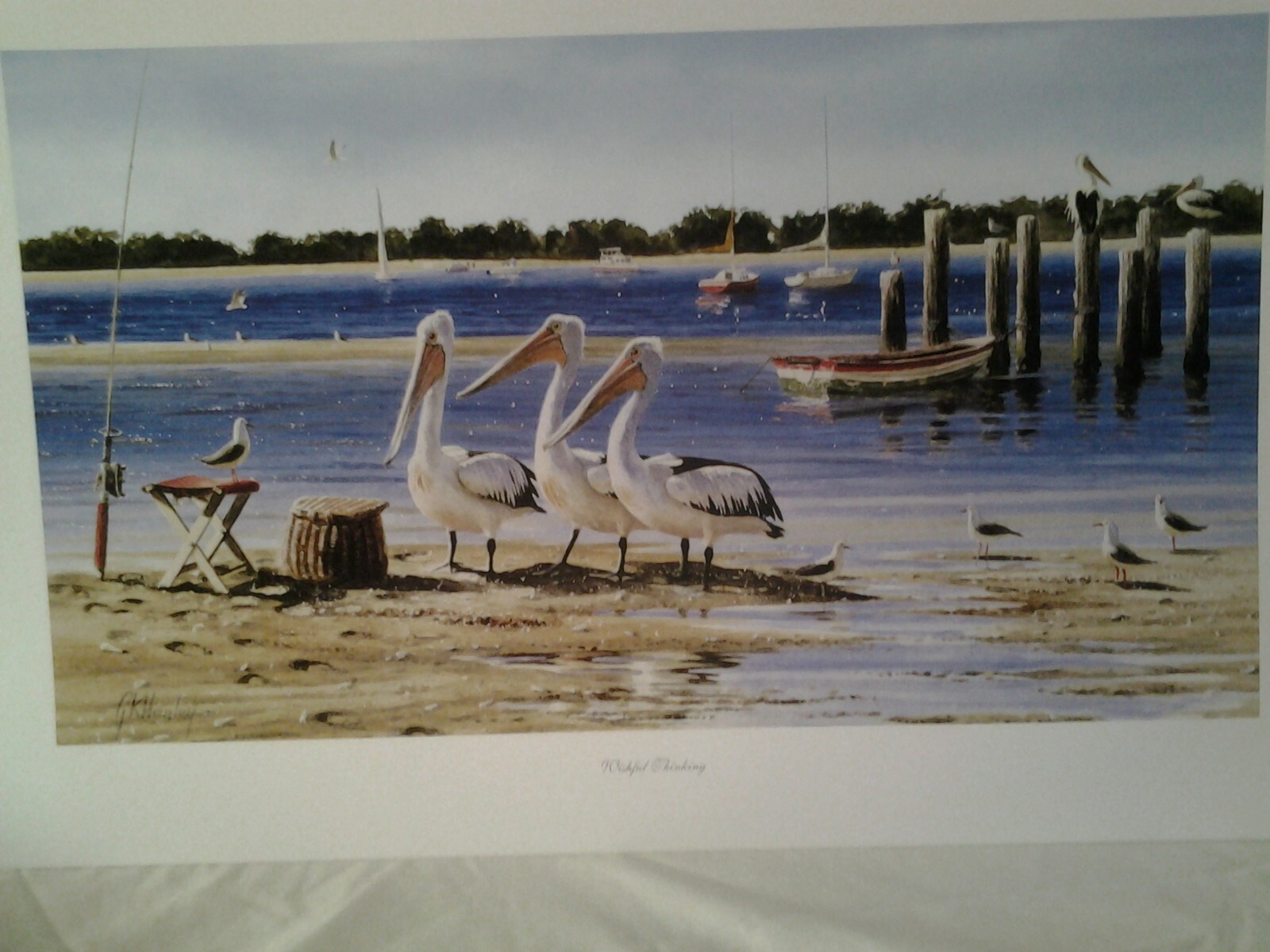 Gordon Hanley Prints Kookaburras Wildlife "The Hub" Open Edition eBay