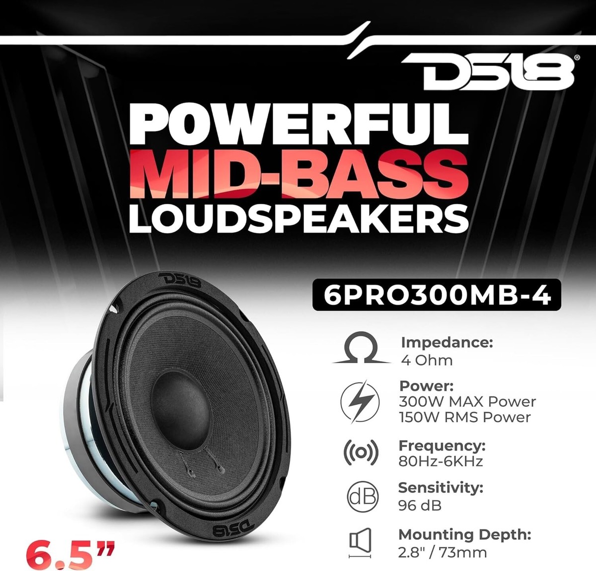 DS18 6PRO300MB-4 PRO 6.5