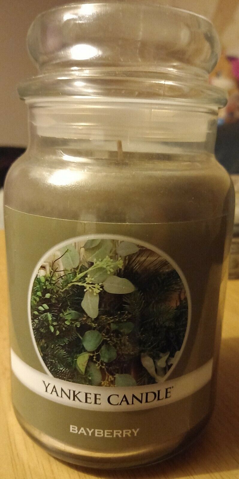 Yankee Candle Evergreen Mist Large Jar 22oz NEW! Mountain Holiday