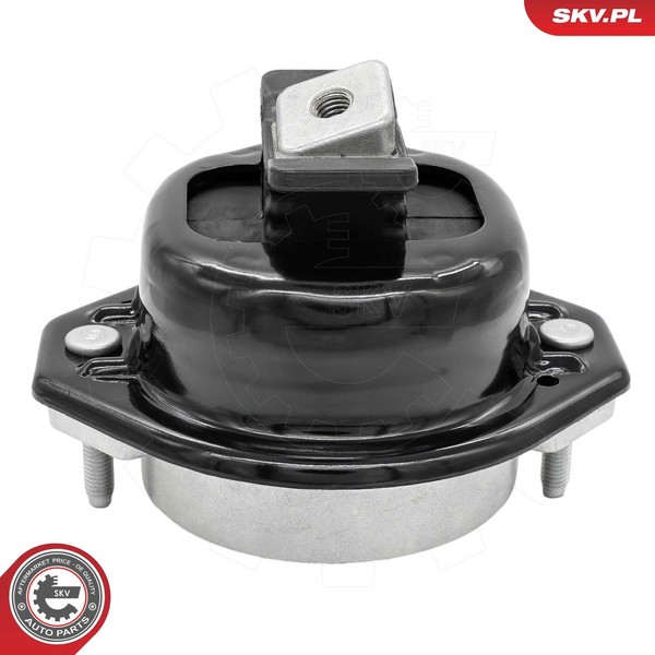 Esen SKV 75SKV125 Lagerung, Motor Links FüR BMW-image