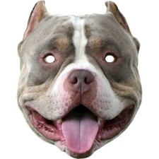 XL American Bully Animal Dog Card Face Mask - Ready To Wear - Fancy Dress