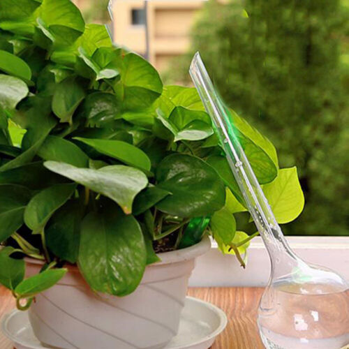 10PCS Plant Watering Globes Self Watering Globes Automatic Watering Devices AU - Picture 3 of 12