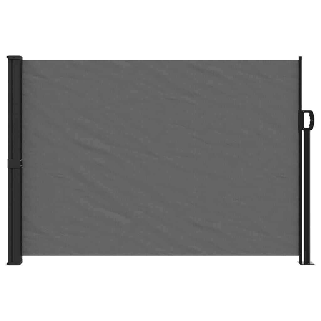 AX Tenda Da Sole Laterale Retrattile Antracite Veranda Cortile Giardino 4004518