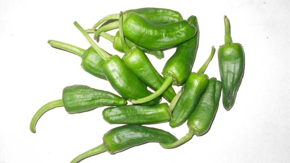 30 Padron Pepper Seeds (Capsicum Annuum) seeds, llavors