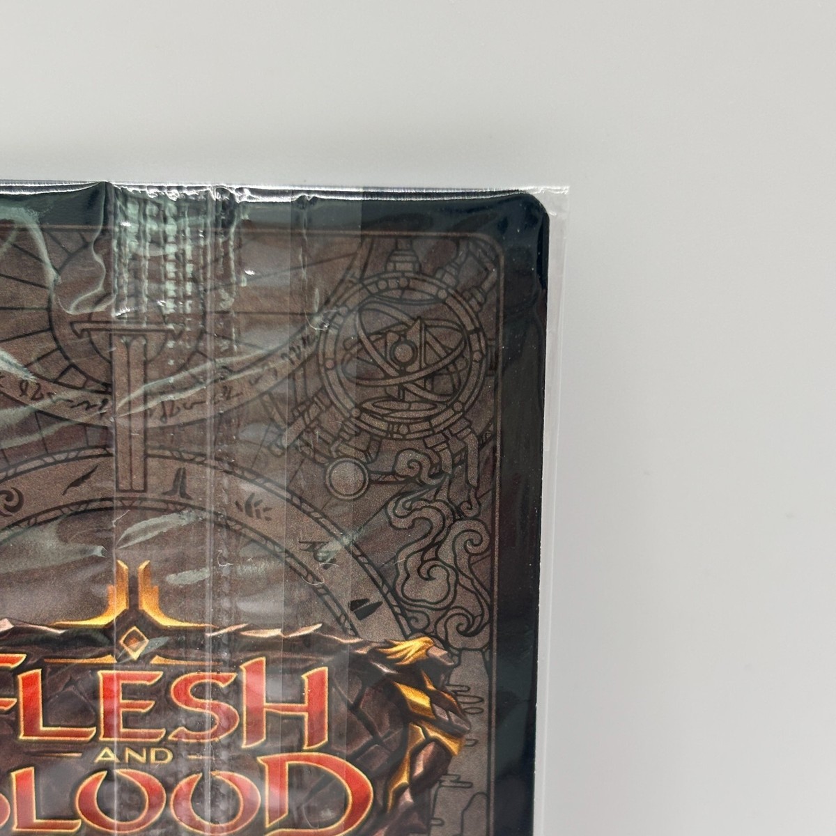リガーモーティス CF3枚 flesh and blood fab FaB通販 TOKYO FAB 【Flesh and Blood 専門店】