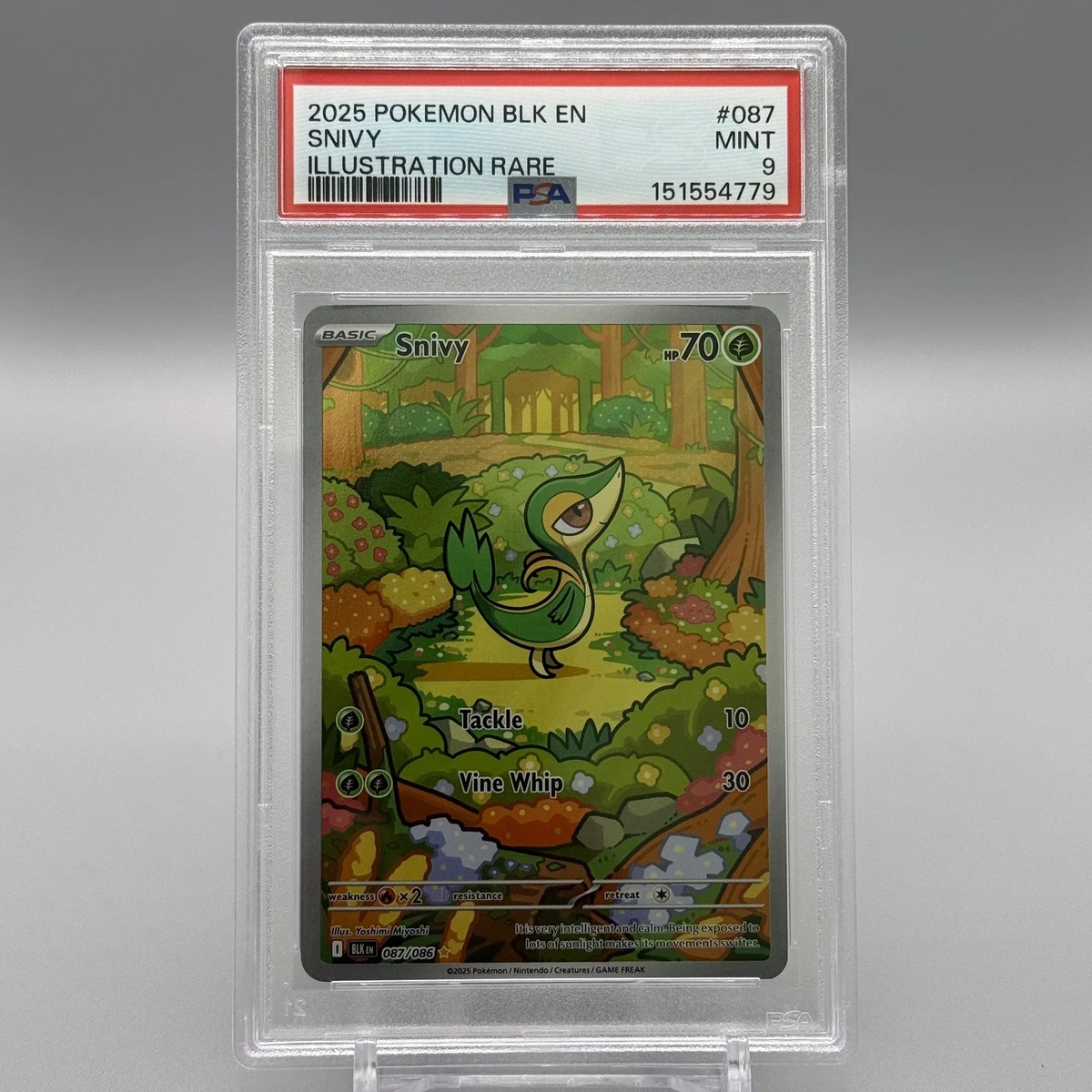 Snivy Pokémon TCG Cards for sale | eBay