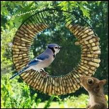 WHOLE PEANUT WREATH RING BIRD & SQUIRREL FEEDER BY Songbird Essentials FREE SHIP