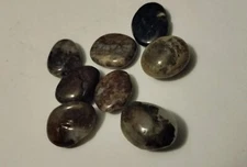 20.8g grams Natural Polished Pietersite Freeform Mineral Specimens, 8 Small pcs.