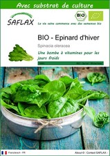 SAFLAX - BIO - Epinard d'hiver - 250 graines - Avec substrat - Spinacia