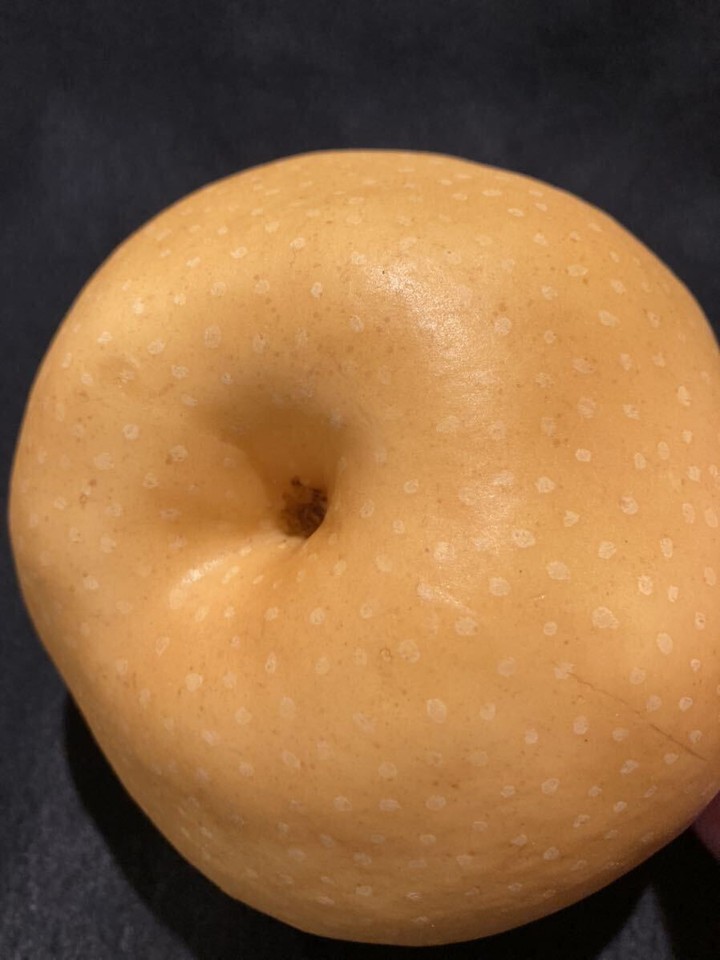 Food Sample Pear Large eBay