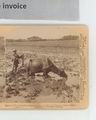 Preparing Ground For Rice Staff of Life Philippines Underwood Stereoview