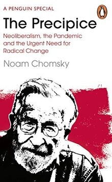 The Precipice: Neoliberalism, the Pandemic and the Urgen... | Buch | Zustand gut