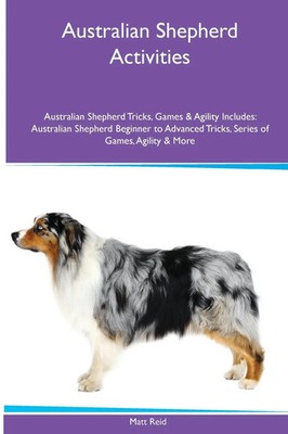 Matt Reid | Australian Shepherd Activities Australian Shepherd Tricks, Games...
