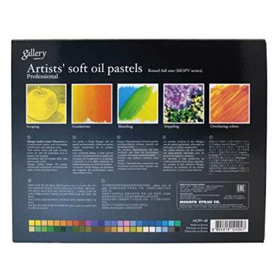 Mungyo Gallery Soft Oil Pastels Set of 48 - Assorted Colors | eBay